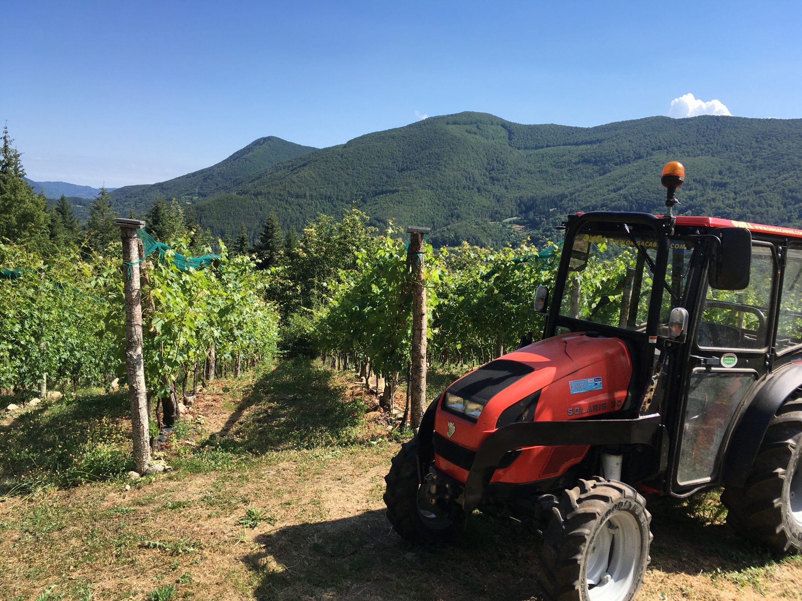 L'azienda e il territorio